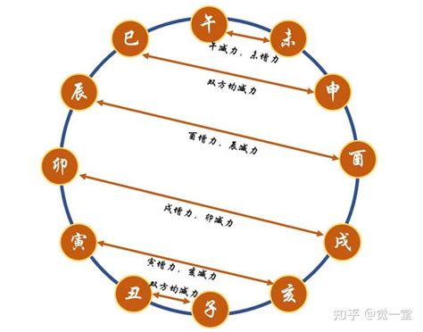 巳卯合|地支化合